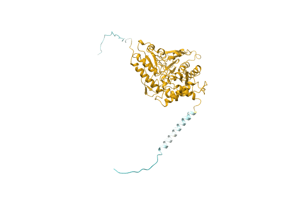 AF-Q01594-F1 image