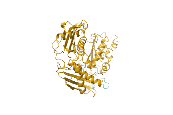 AF-Q0BPF5-F1 image