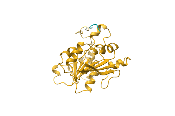 AF-Q0BPF6-F1 image