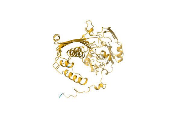 AF-Q0QLF2-F1 image