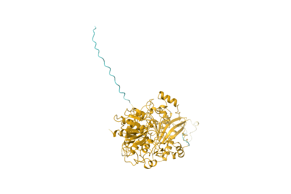 AF-Q0R4L2-F1 image