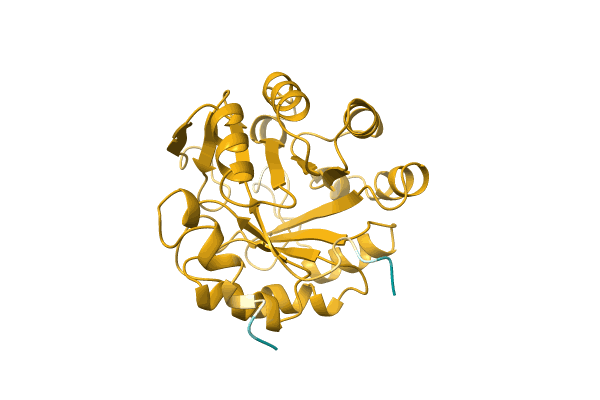 AF-Q18DL2-F1 image