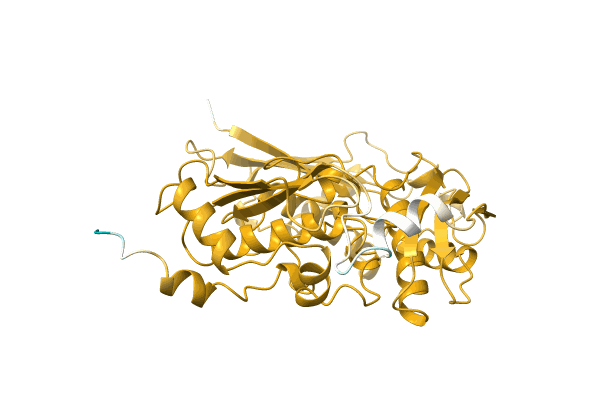 AF-Q2RYY4-F1 image