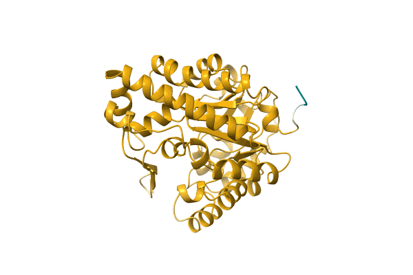 AF-Q2VYH1-F1 image