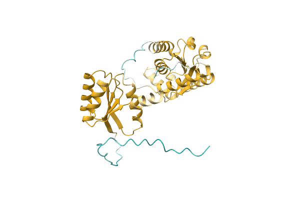 AF-Q2VYH2-F1 image