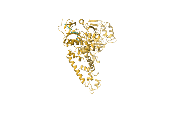 AF-Q2Y5B4-F1 image