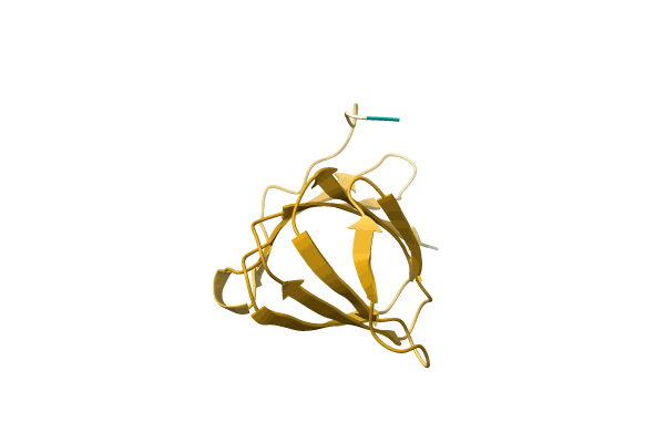 AF-Q30NQ5-F1 image