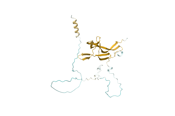 AF-Q3HXY5-F1 image
