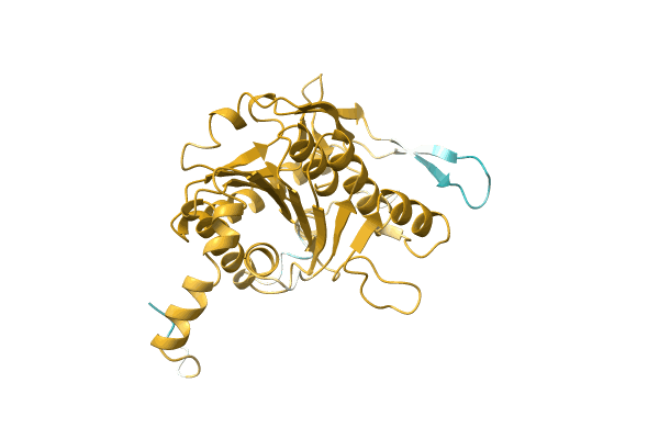 AF-Q3SN22-F1 image