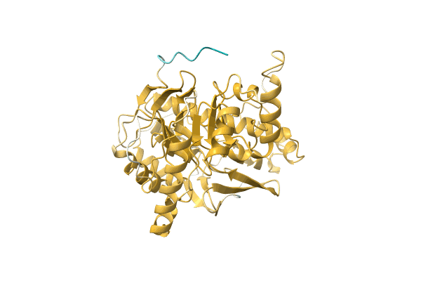 AF-Q4MZD7-F1 image