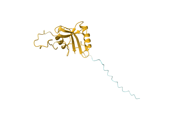 AF-Q5FZI5-F1 image