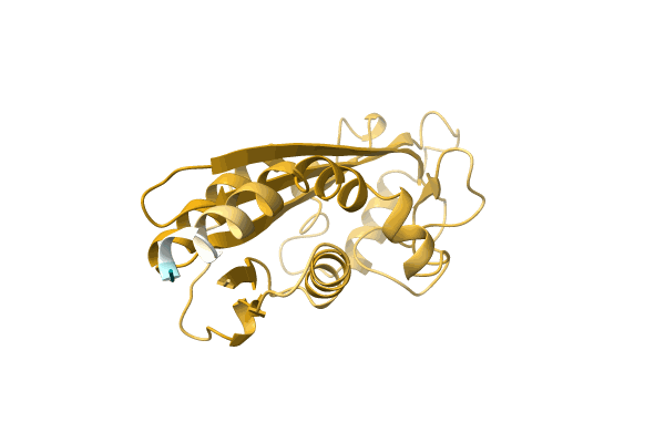 AF-Q5L4Q6-F1 image