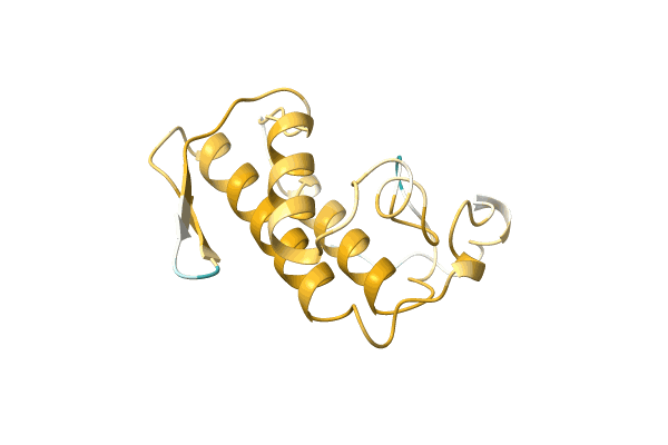 AF-Q6EER5-F1 image