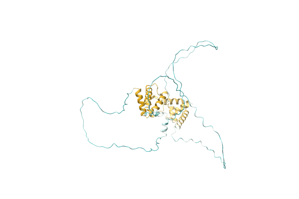 AF-Q8RP04-F1 image
