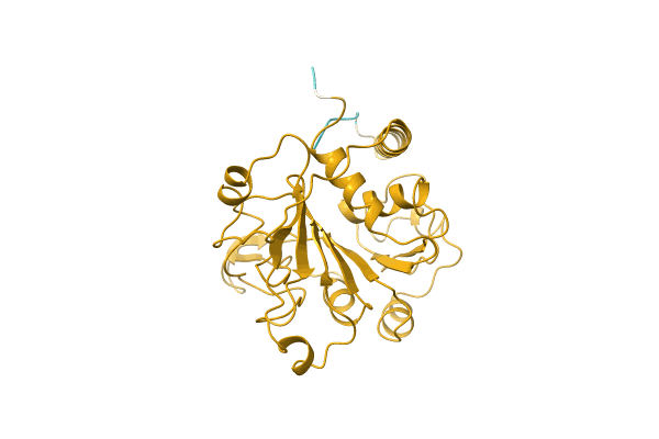 AF-Q8VPF2-F1 image