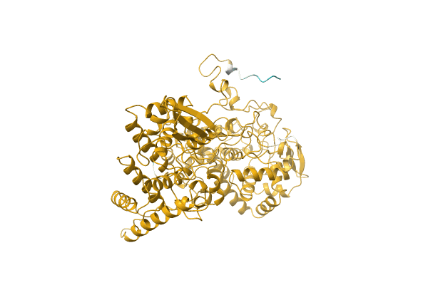 AF-Q8X1N3-F1 image