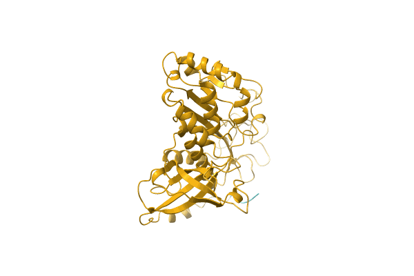 AF-Q9C2U9-F1 image