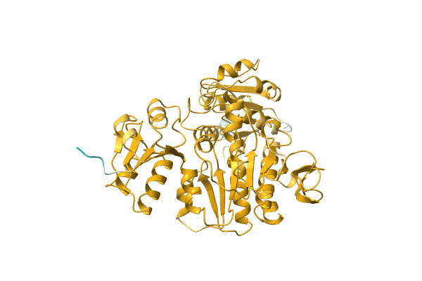 AF-Q9F1N2-F1 image