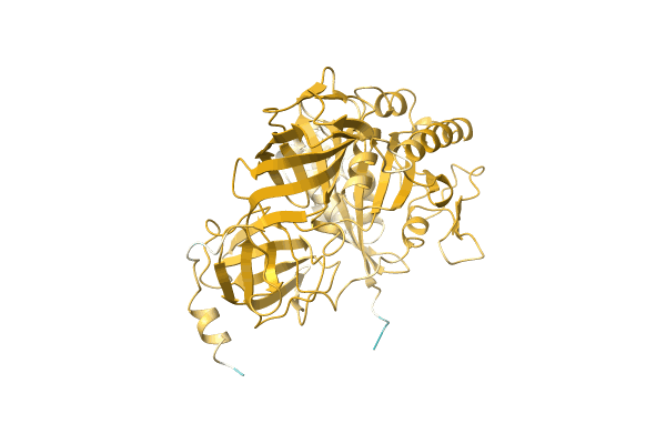 AF-Q9HDF6-F1 image