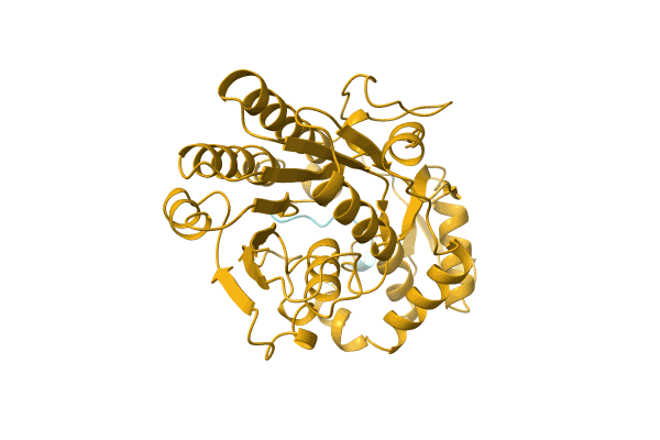 AF-Q9L9E8-F1 image