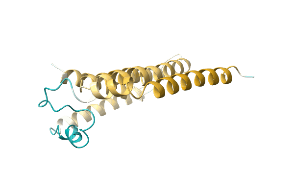 AF-Q9ZZY0-F1 image