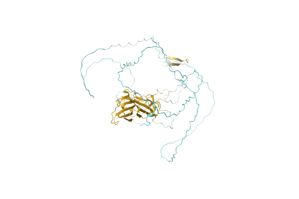 AF-S0DHV6-F1 image