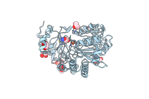 1J04 image