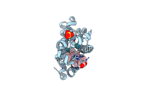 1J52 image