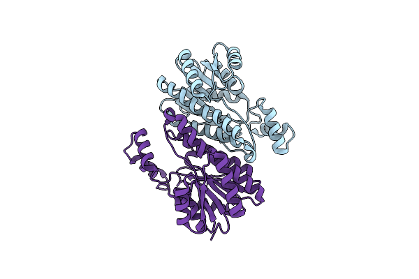 1K2W image