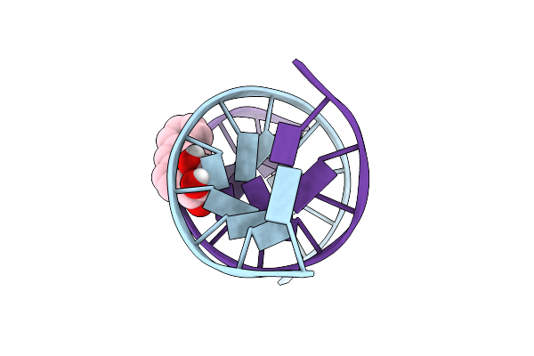 1MXJ image