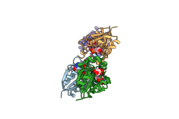 1N1D image