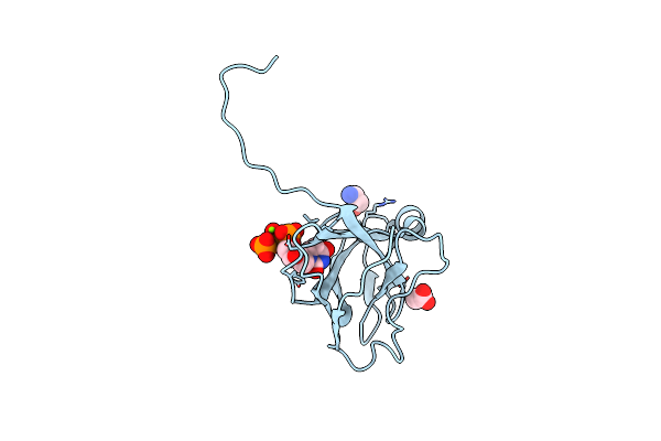 1RN8 image