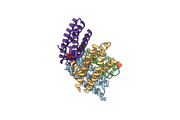 2CHP image