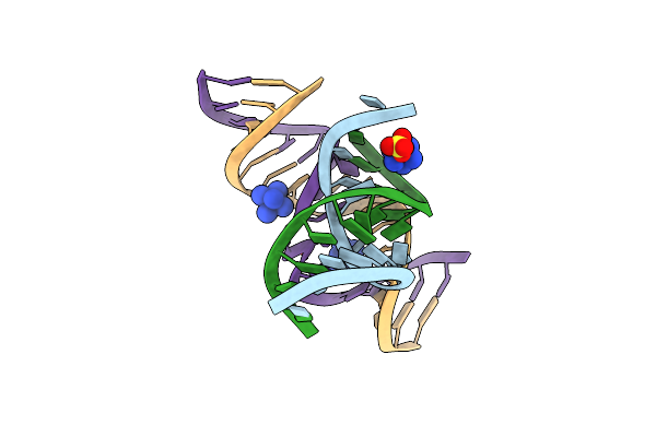 2D2L image