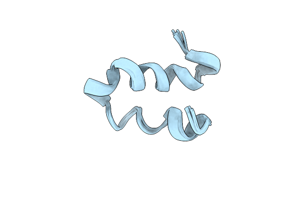 2DCO image