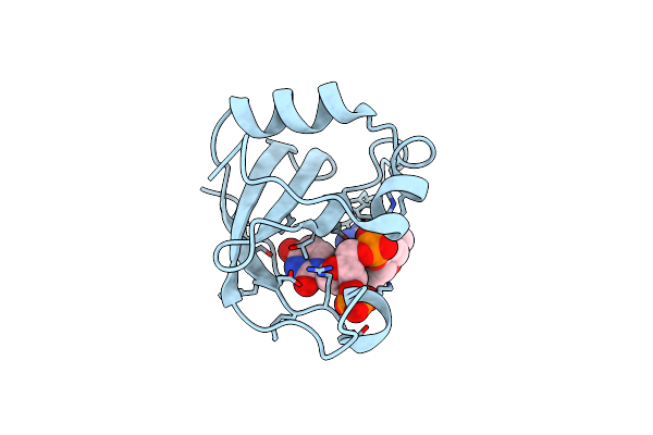 2DJH image