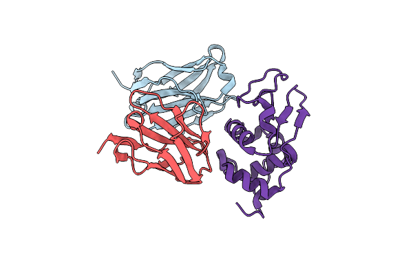 2DQI image