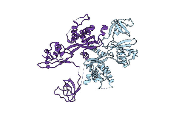 2DYB image