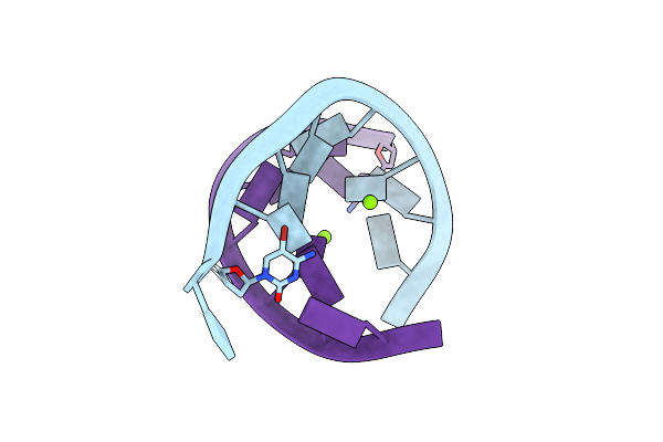 2G91 image
