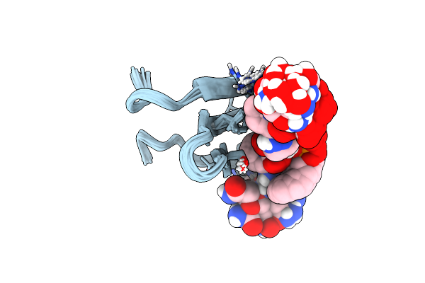 2LAZ image
