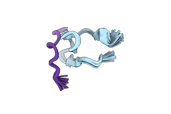 2LB2 image