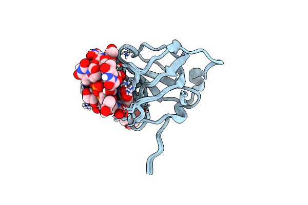 2MNA image