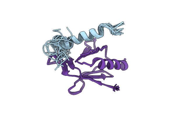 2MWN image