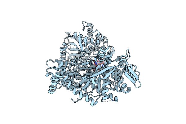 2QRH image