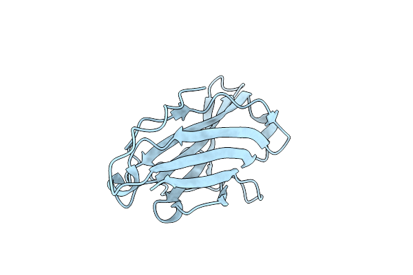 2QZQ image