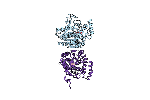 3HJU image