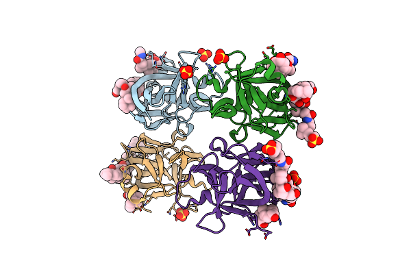 3WO2 image