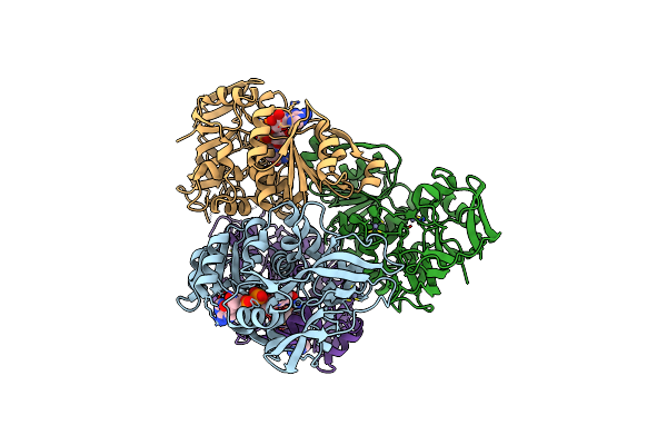 4CPD image