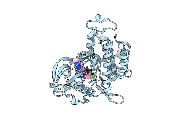 4HVS image