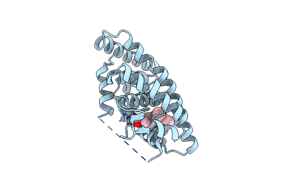 4M8E image